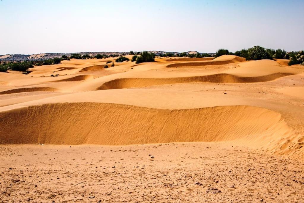 Neem Guest House جيلسامر المظهر الخارجي الصورة